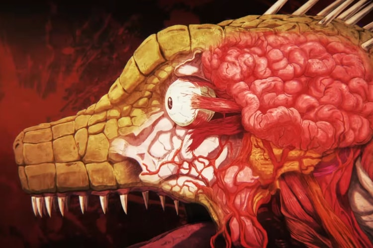 TOHO 率先公開《Dorohedoro》第二季首支預告 4 月強勢回歸